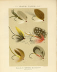 1885 Bass Flies Plate 12 - Antique Charles F. Orvis Fishing Print