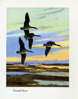 1948 Canada Goose - Vintage Angus H. Shortt Waterfowl Print