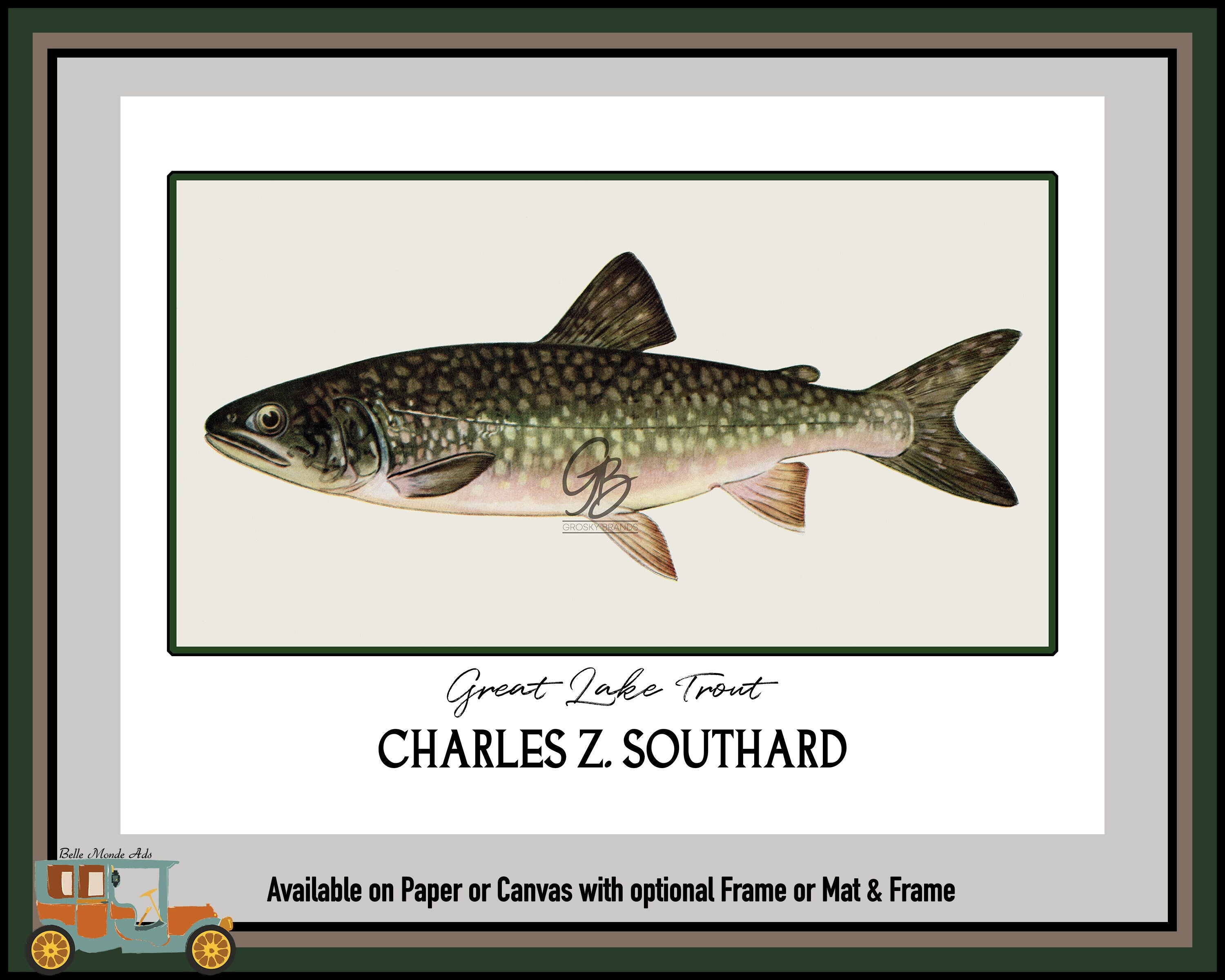 Great Lake Trout Fine Art Print - Charles Z Southard Fish Illustration