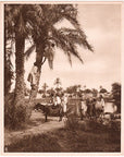 Lehnert & Landrock Antique Photogravure