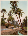 Lehnert & Landrock Antique Color Photogravure