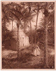 Lehnert & Landrock Antique Photogravure