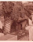 Lehnert & Landrock Antique Photogravure