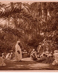 Lehnert & Landrock Antique Photogravure