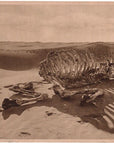 Lehnert & Landrock Antique Photogravure