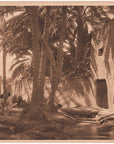 Lehnert & Landrock Antique Photogravure