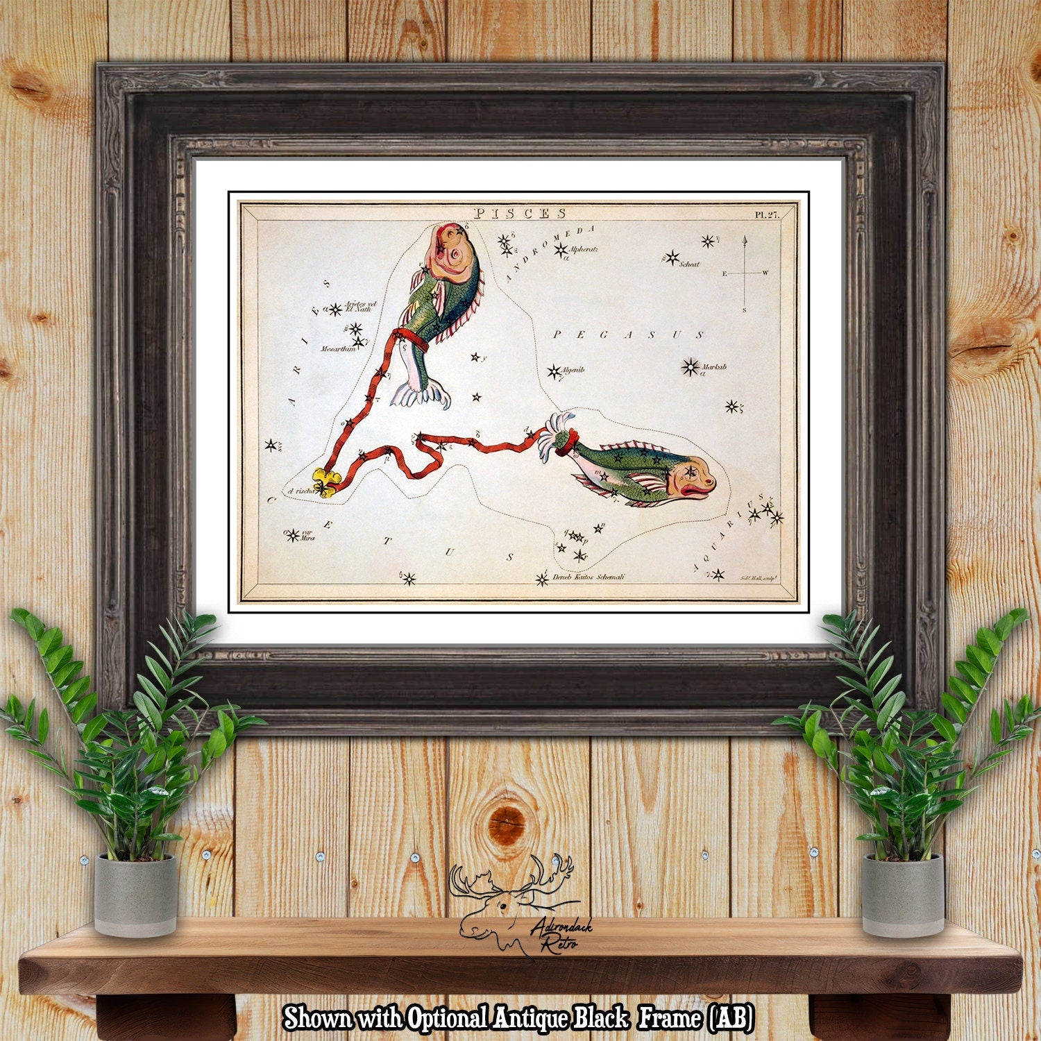 Pisces Constellation Star Map by Sidney Hall Fine Art Astrology Print at Adirondack Retro