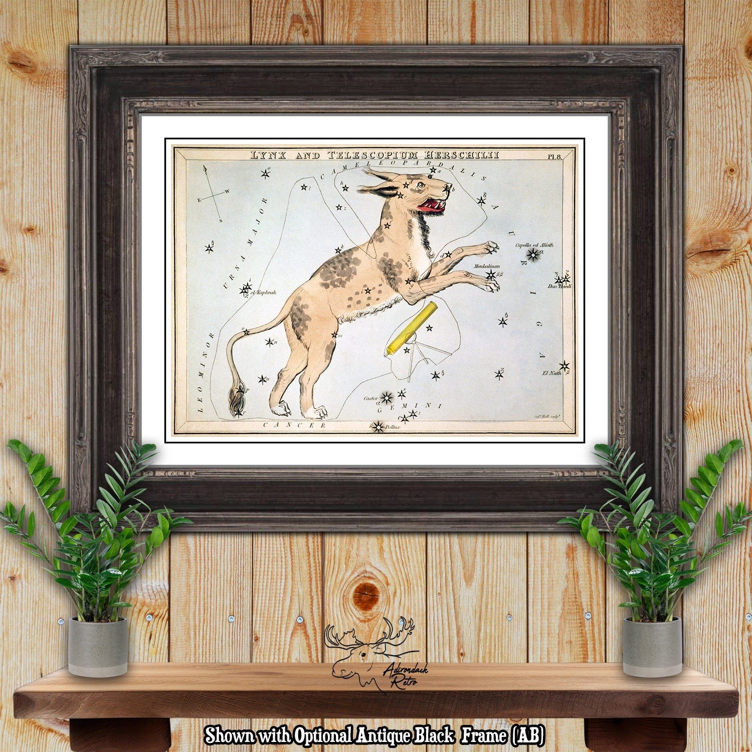 Lynx Constellation Star Map - Sidney Hall Fine Art Astrology Print at Adirondack Retro