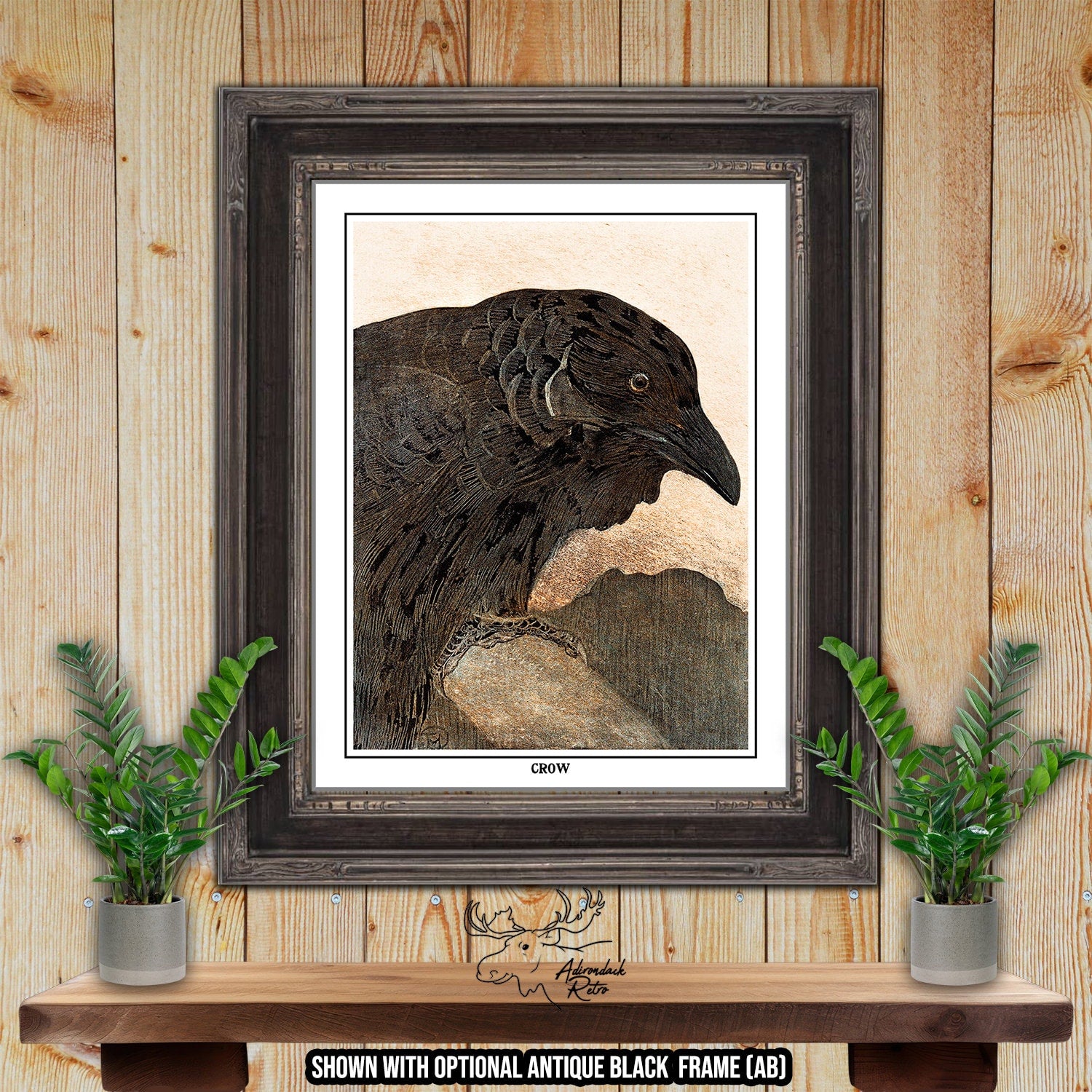 Crow by Theo van Hoytema Giclee Fine Art Print at Adirondack Retro