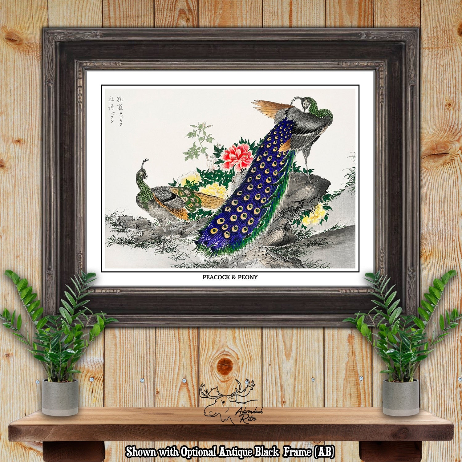 Peacock And Peony by Numata Kashu Giclee Fine Art Bird Print at Adirondack Retro