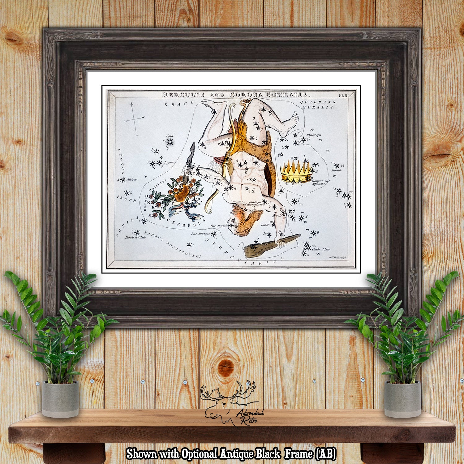 Hercules Constellation Star Map - Sidney Hall Fine Art Astrology Print at Adirondack Retro