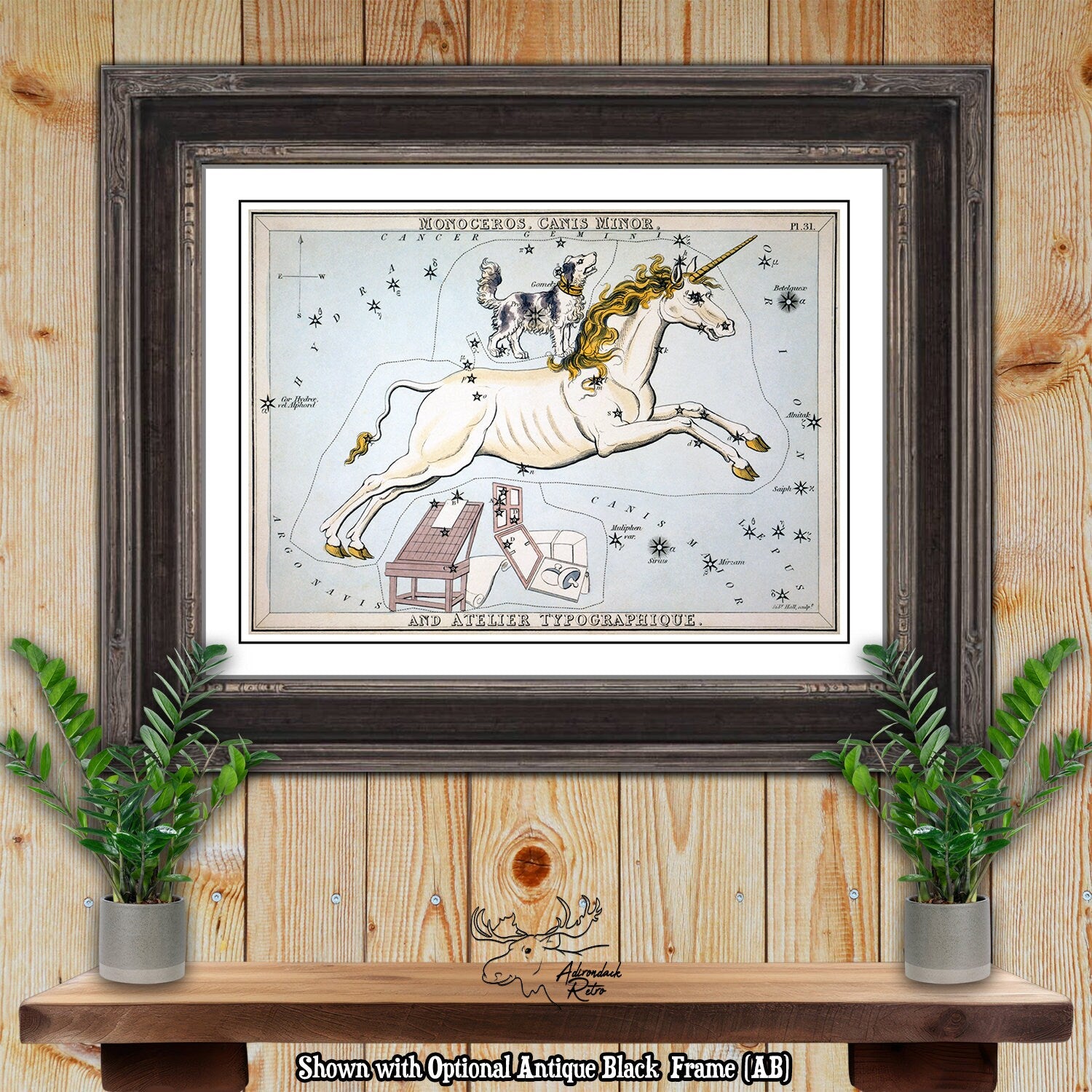 Monoceros Canis Minor Constellation Star Map - Sidney Hall Fine Art Astrology Print at Adirondack Retro