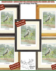 The Hummingbird and The Crane Limited Edition Tipped-In Color Book Plate - Paul Bransom Antique Print