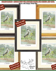 a set of four framed pictures of birds