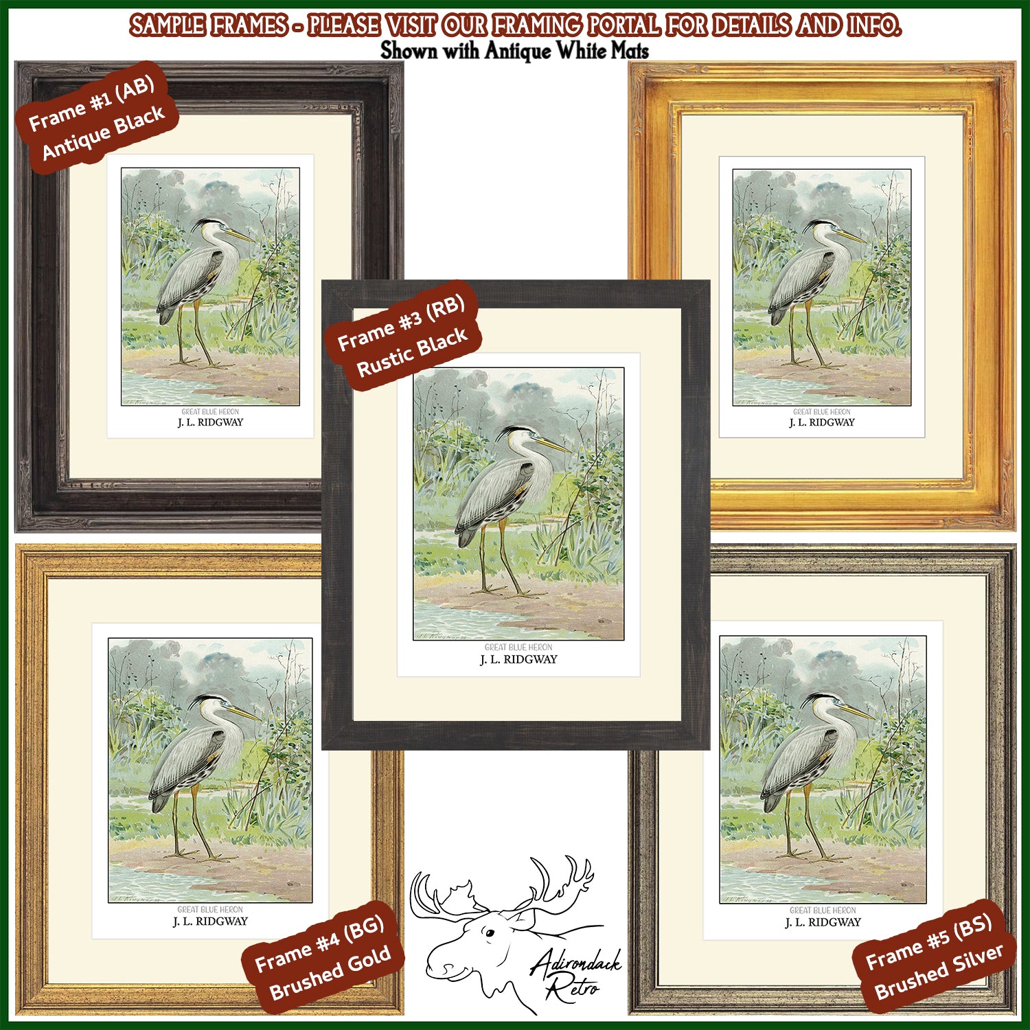 a set of four framed pictures of birds