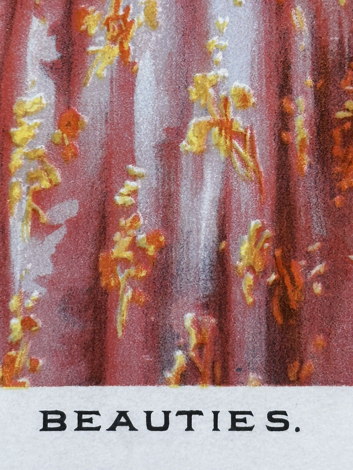 1892 &quot;Beauties&quot; Chromolithograph Print | Magazine Illustration