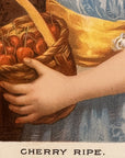 1892 "Cherry Ripe" Chromolithograph Print | Magazine Illustration