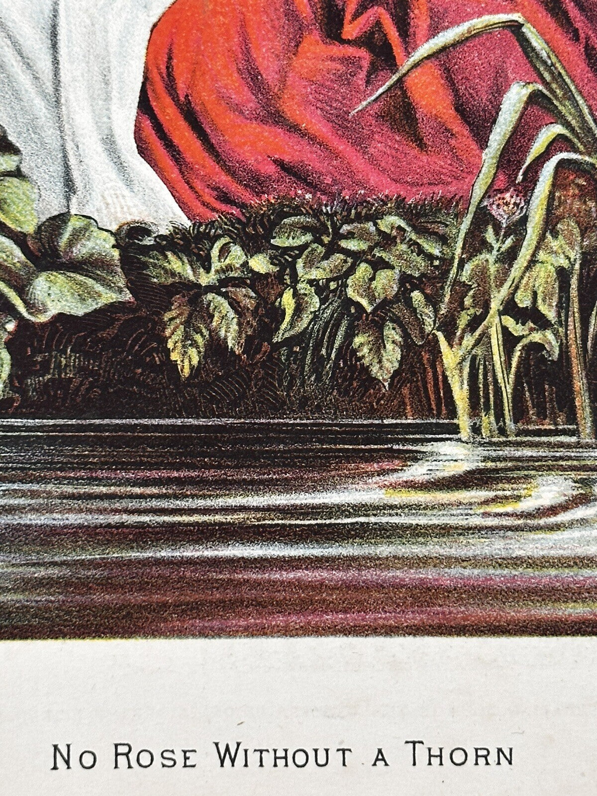 1881 &quot;No Rose Without A Thorn&quot; Chromolithograph Print | Magazine Illustration