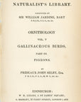 1835 Ferruginous Ground Dove Hand-Colored Engraving Jardine Lizars - Pigeons