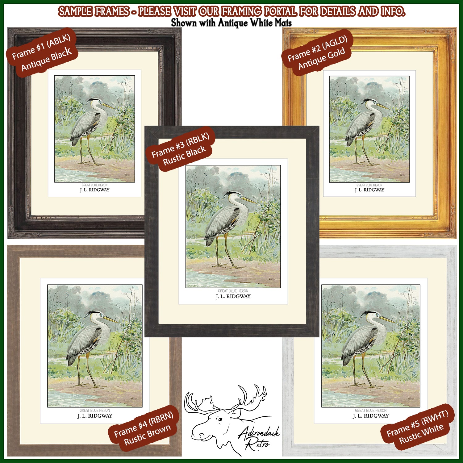 The image is a collage of five framed artworks depicting different types of birds, including a great blue heron. The artworks are arranged in a grid format, with each frame showcasing a different bird species and color. The frames are labeled with the artist&#39;s name, J. L. Riedewy, and the type of frame, such as rustic black, rustic brown, and rustic white. The collage also includes a caption that reads &quot;SAMPLE FRAMES - PLEASE VISIT OUR FRAMING POSTAL FOR DETAILS AND INFO.&quot;