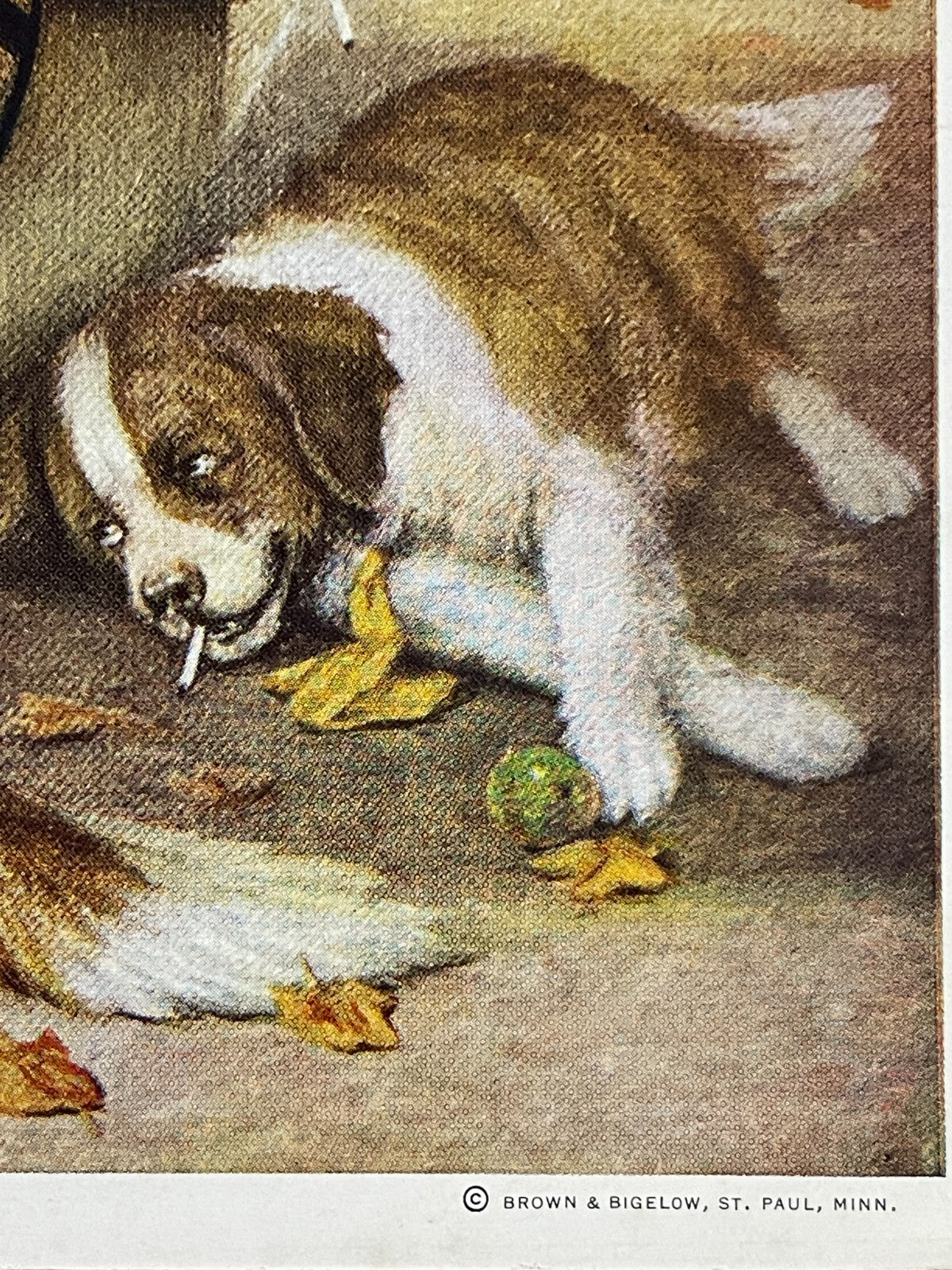 C.M. Coolidge TEN MILES TO A GARAGE Saint Bernard Dogs Car Trouble Picnic