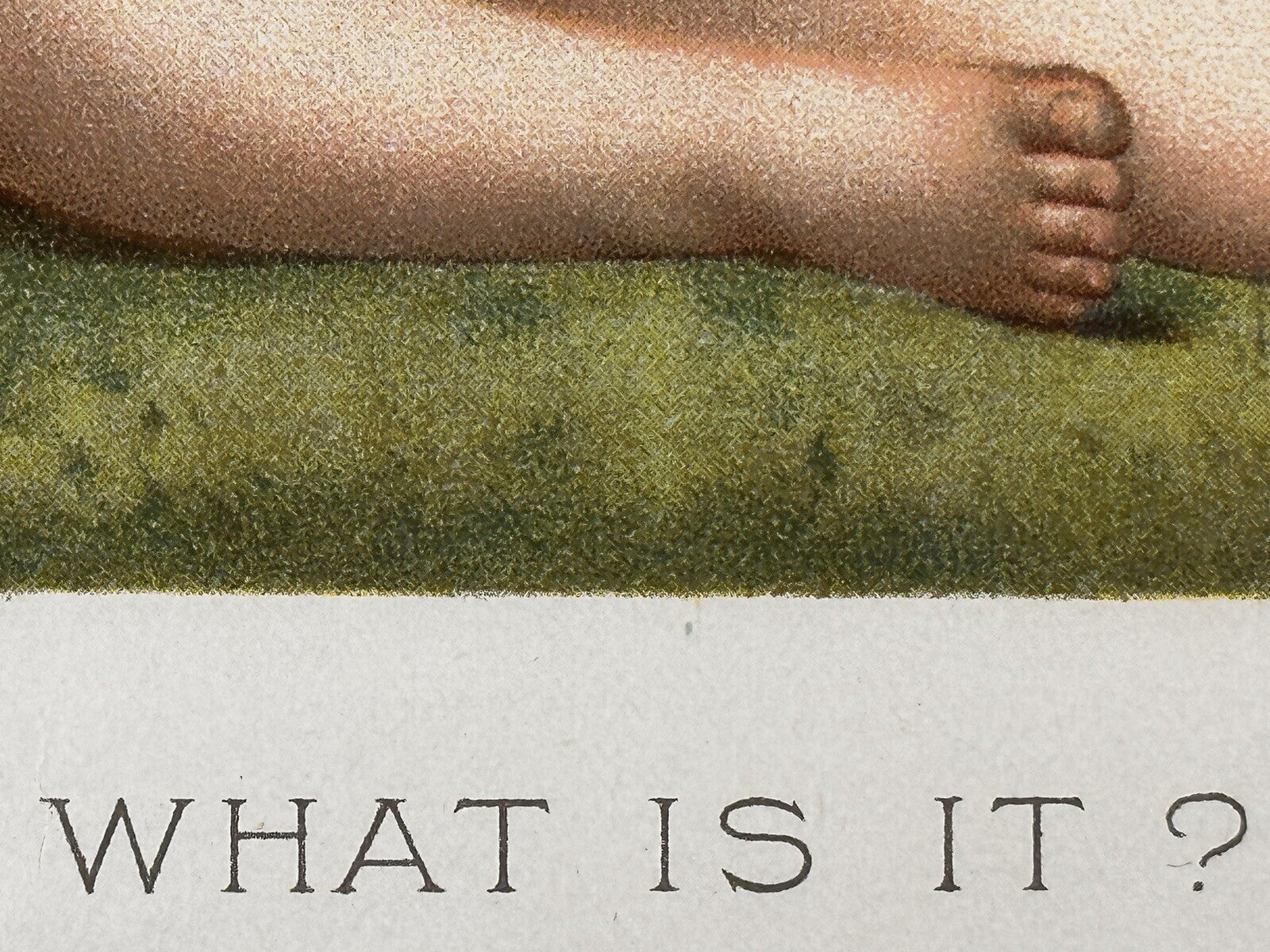 1894 &quot;What is it?&quot; Chromolithograph Print | Magazine Illustration