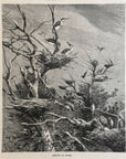 1893 Herons At Home Antique Magazine Wood Engraving