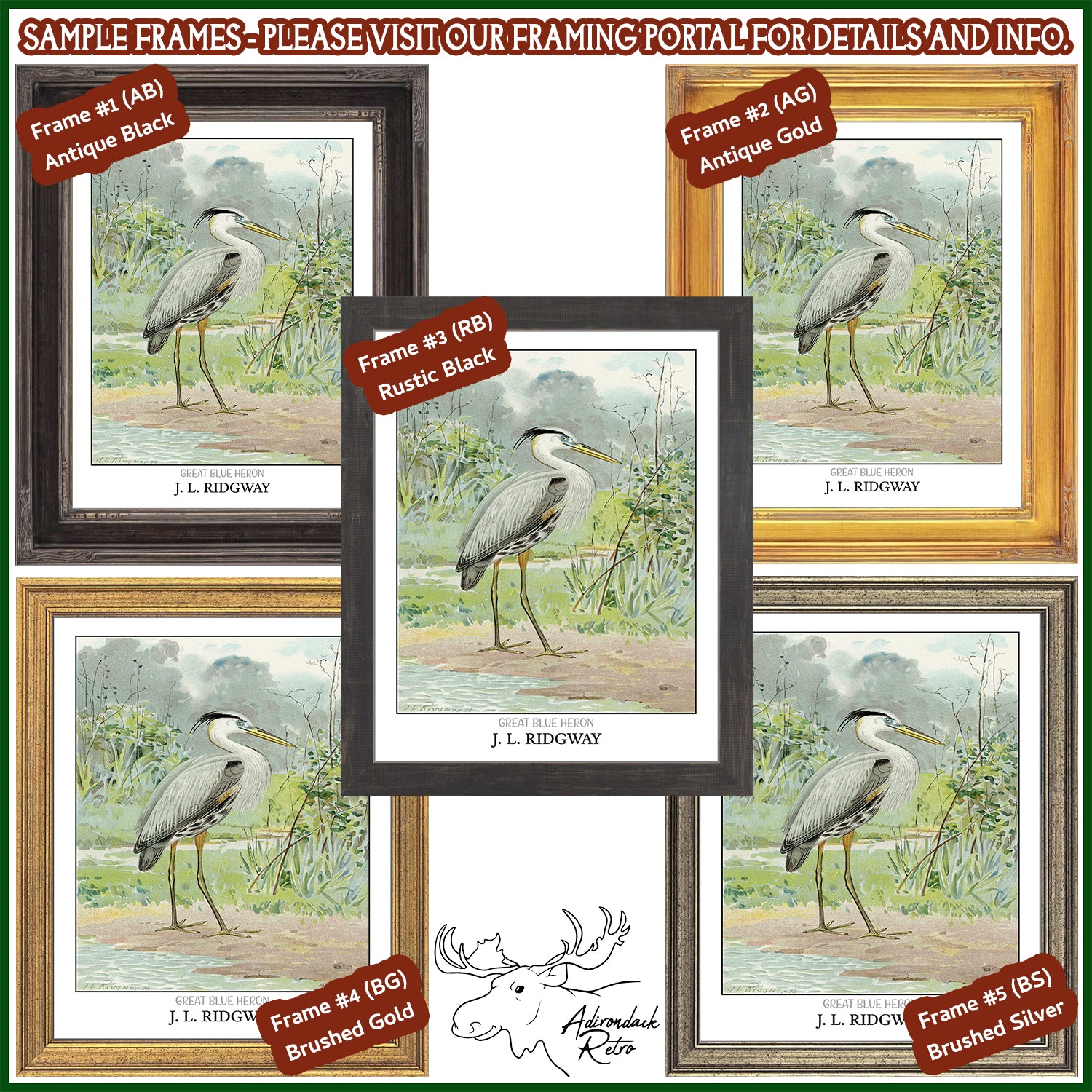 four framed pictures of a bird with a moose in the background