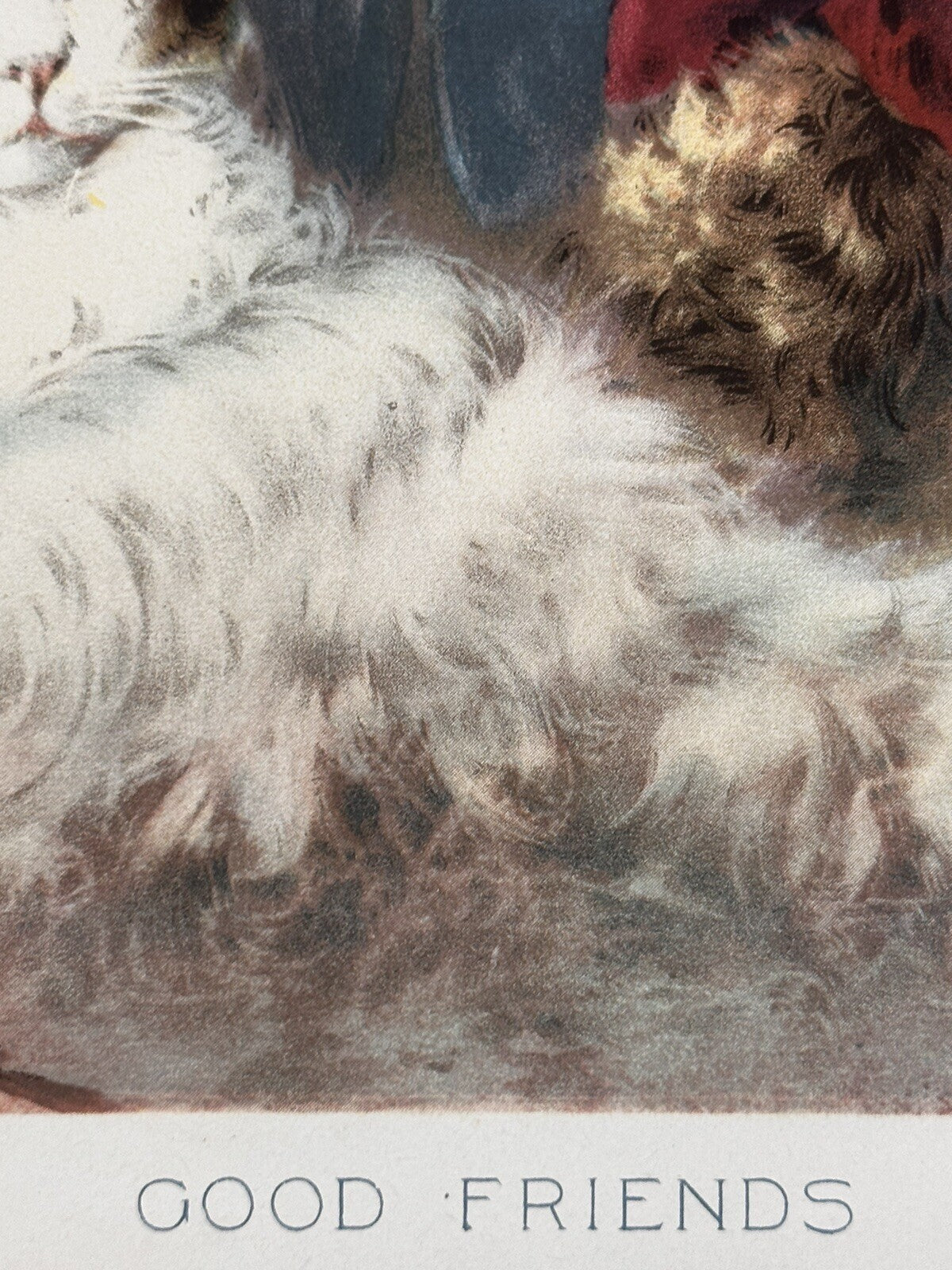 1893 &quot;Good Friends&quot; Chromolithograph Print | Magazine Illustration