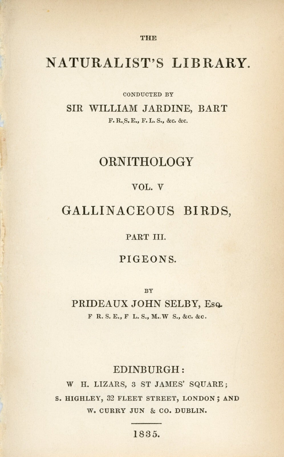 1835 Pheasant-Tailed Pigeon Hand-Colored Engraving Jardine Lizars - Pigeons