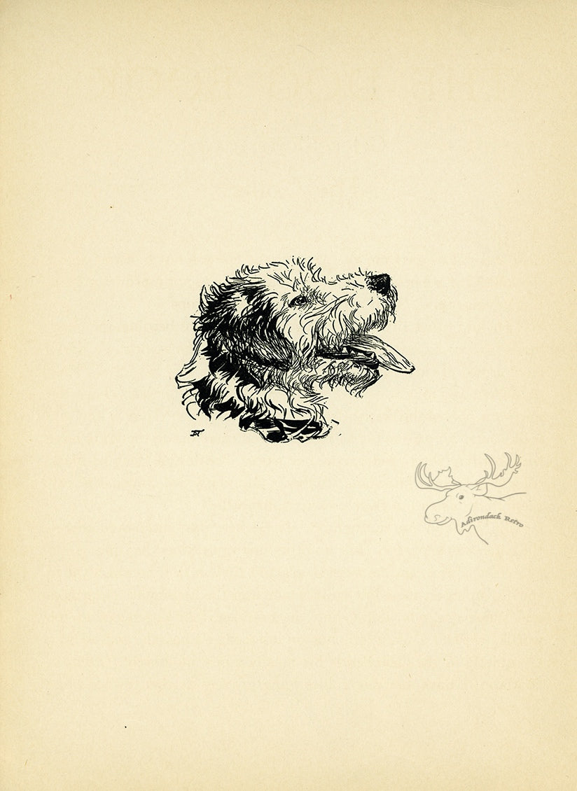 1932 Diana Thorne Vintage Dog Print - Terrier at Adirondack Retro