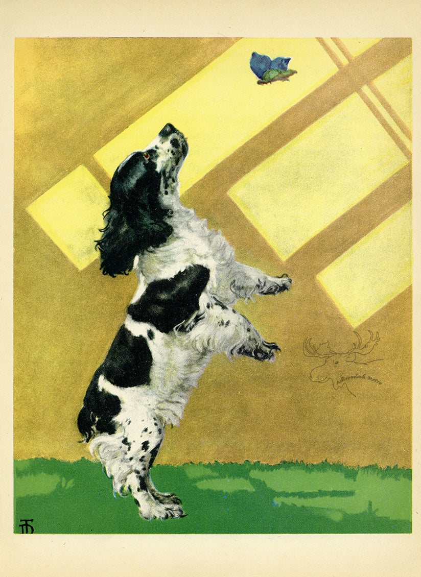 1932 Diana Thorne Vintage Dog Print - Cocker Spaniel - Plate #4 at Adirondack Retro