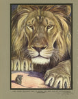 The Lion and The Mouse Limited Edition Tipped-In Color Book Plate - Paul Bransom Antique Print at Adirondack Retro