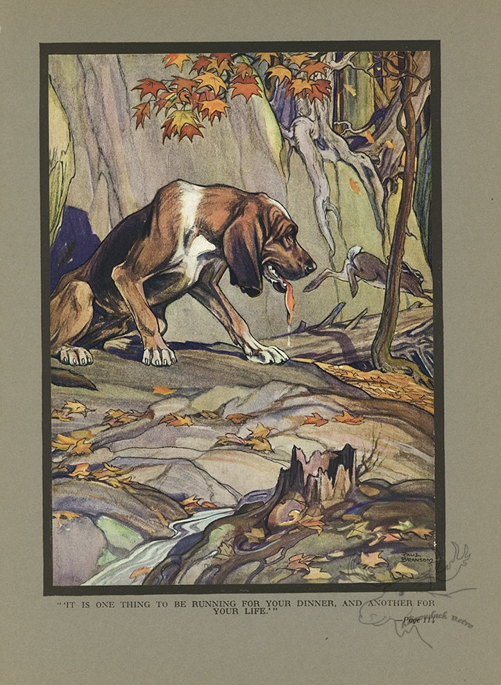 The Hound And The Hare Limited Edition Tipped-In Color Book Plate - Paul Bransom Antique Print at Adirondack Retro