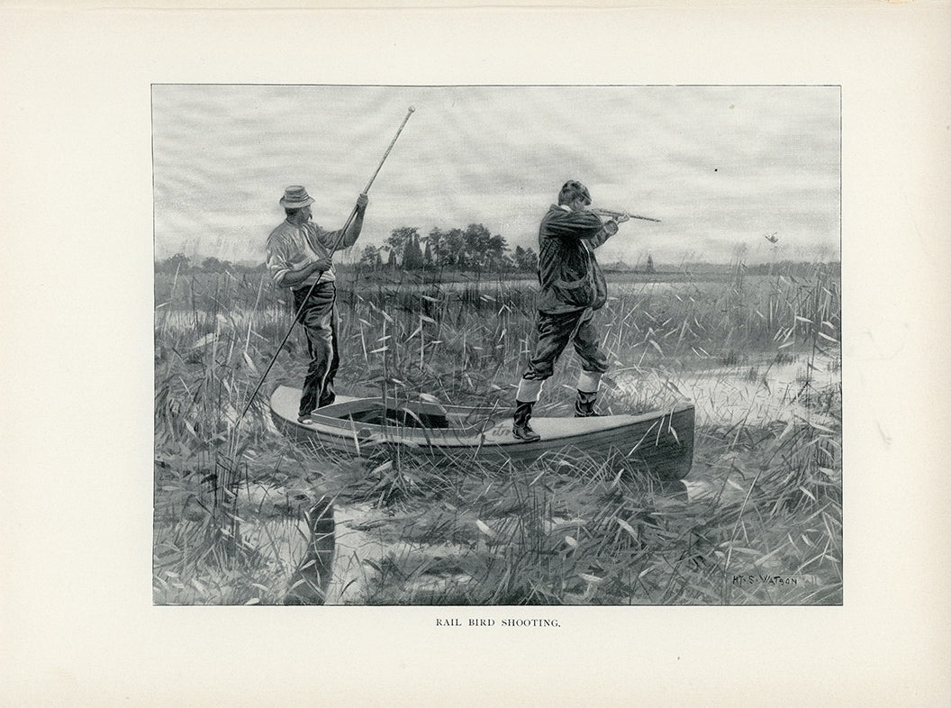 1902 Rail Bird Shooting Antique Henry Sumner Watson Print at Adirondack Retro