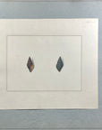 Thomas Martyn 1784 Original Prismatic Buccin Shell Print II - Found at Friendly Isles - Hand-Colored Tipped-In Engraving