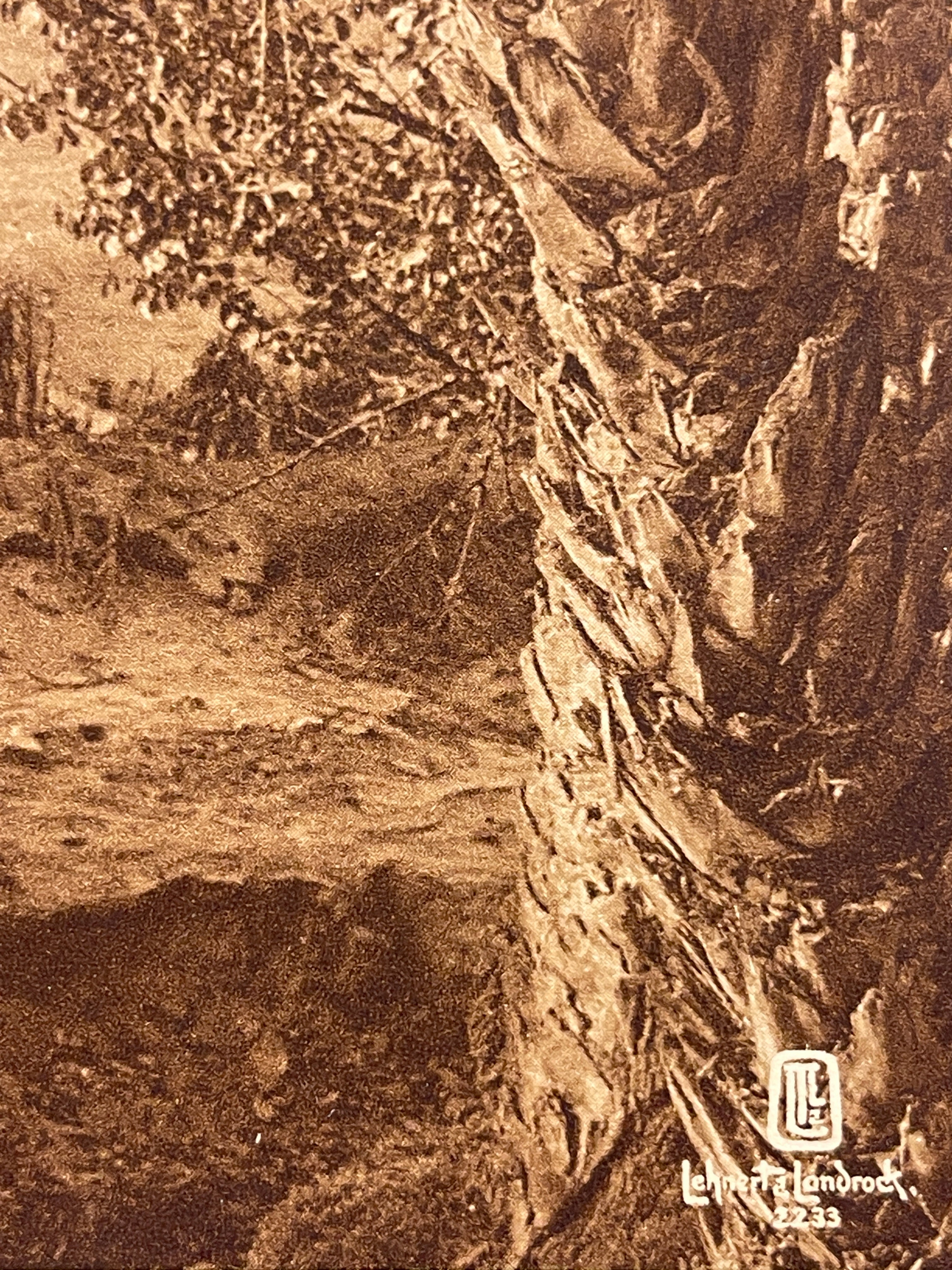 Lehnert &amp; Landrock Antique Photogravure 