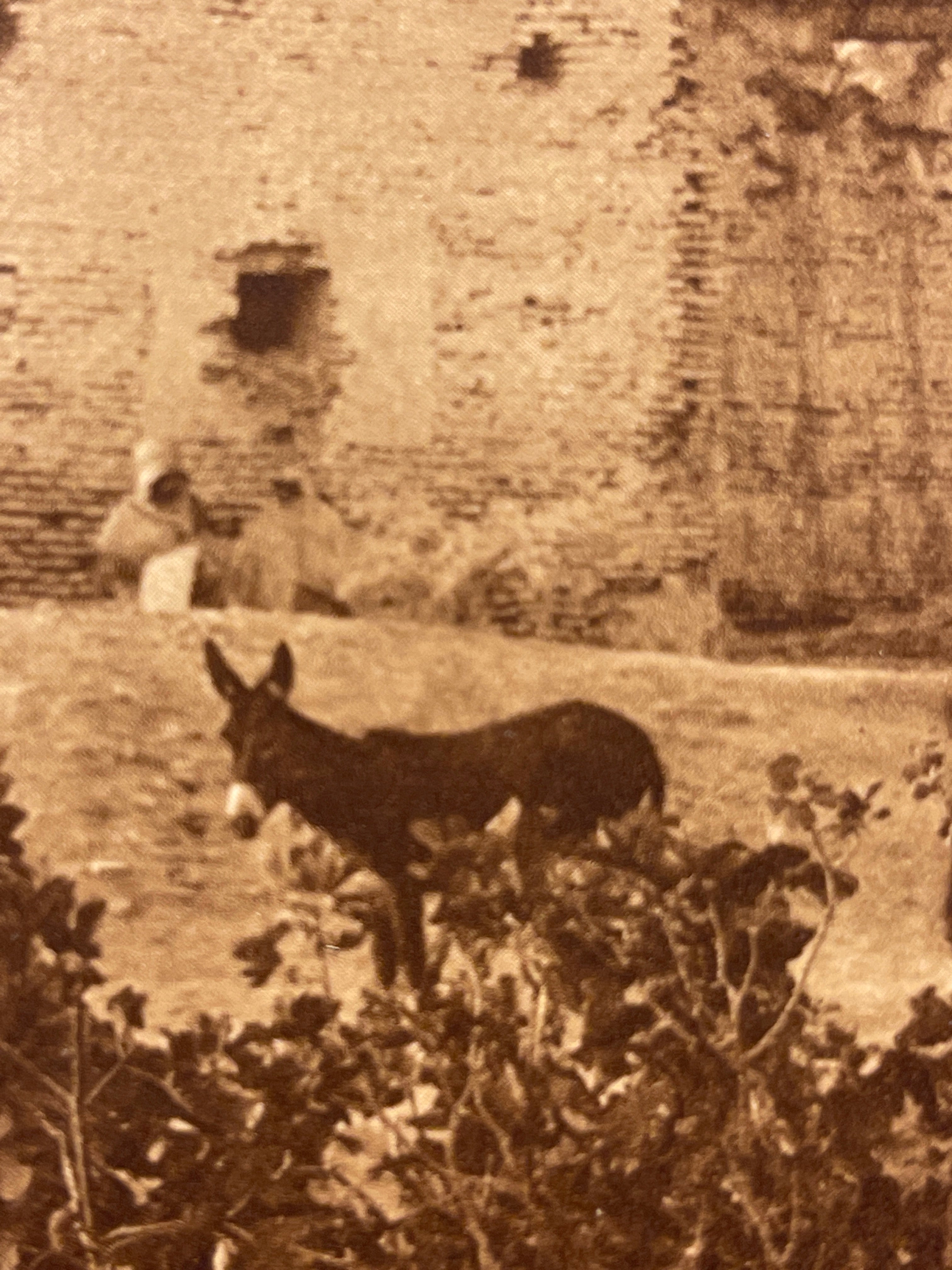 Lehnert &amp; Landrock Antique Photogravure 