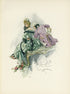 1907 Harrison Fisher Antique Print - Beware - Plate #10 at Adirondack Retro