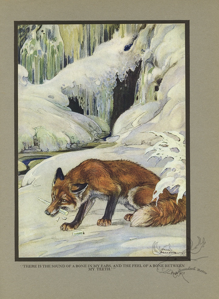 The Fox and The Icicle Limited Edition Tipped-In Color Book Plate - Paul Bransom Antique Print at Adirondack Retro