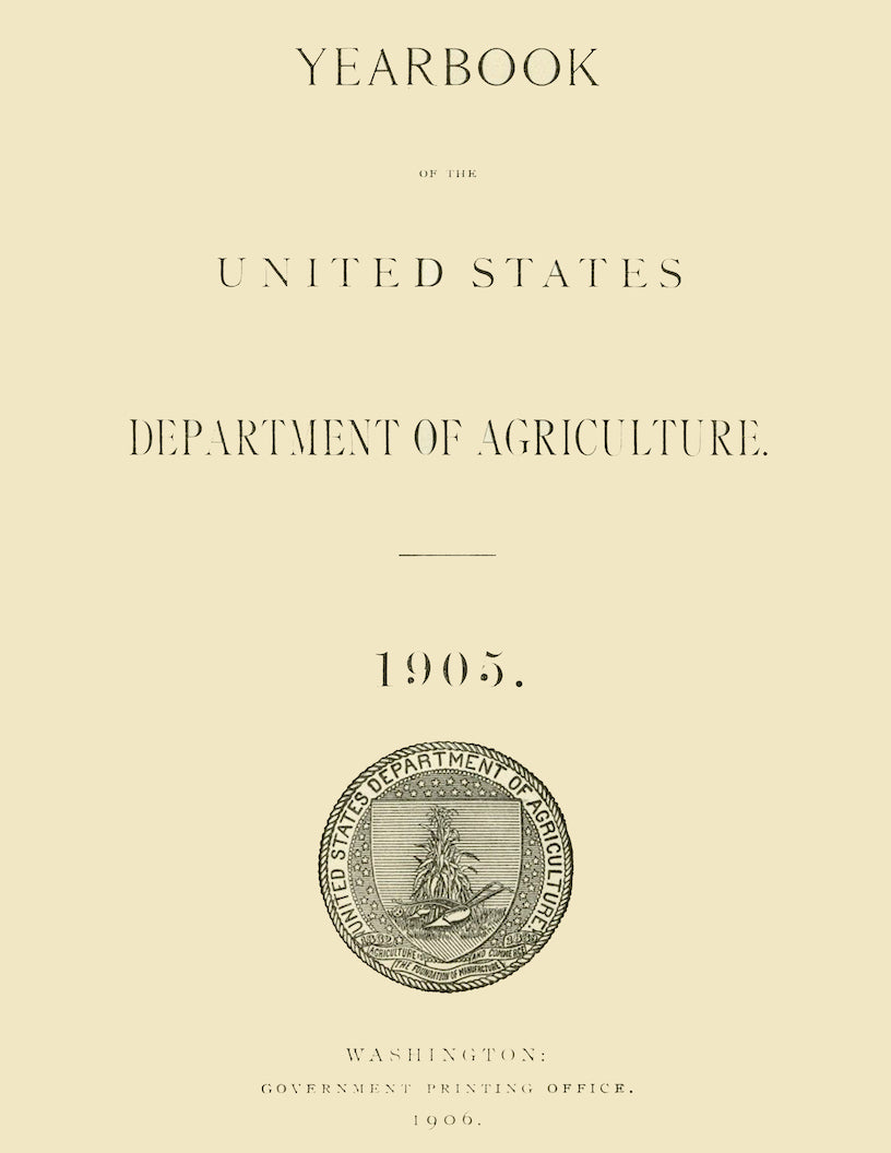 1905 The Morton Citrange Antique USDA Fruit Print - D.G. Passmore