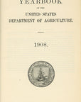 1908 Persimmons Antique USDA Fruit Print - Elsie E. Lower