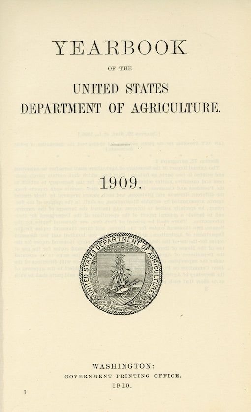 1909 Ear Of Corn Antique USDA Fruit Print - Elsie E. Lower
