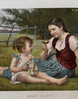 1894 "What is it?" Chromolithograph Print | Magazine Illustration