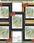 a set of four framed pictures of birds