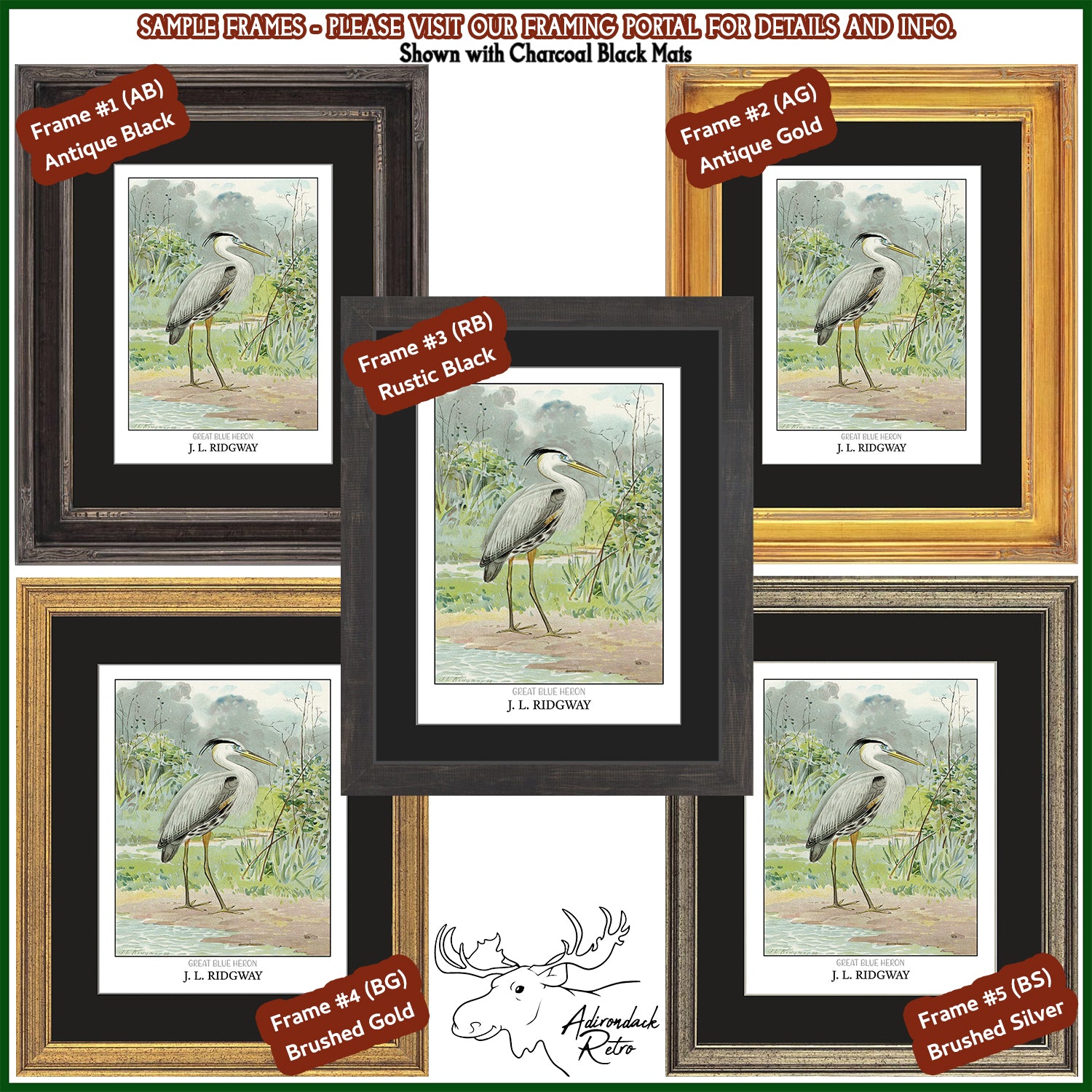 a set of four framed pictures of birds