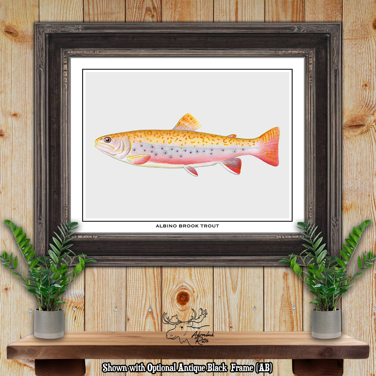 a picture of a fish in a frame on a wall