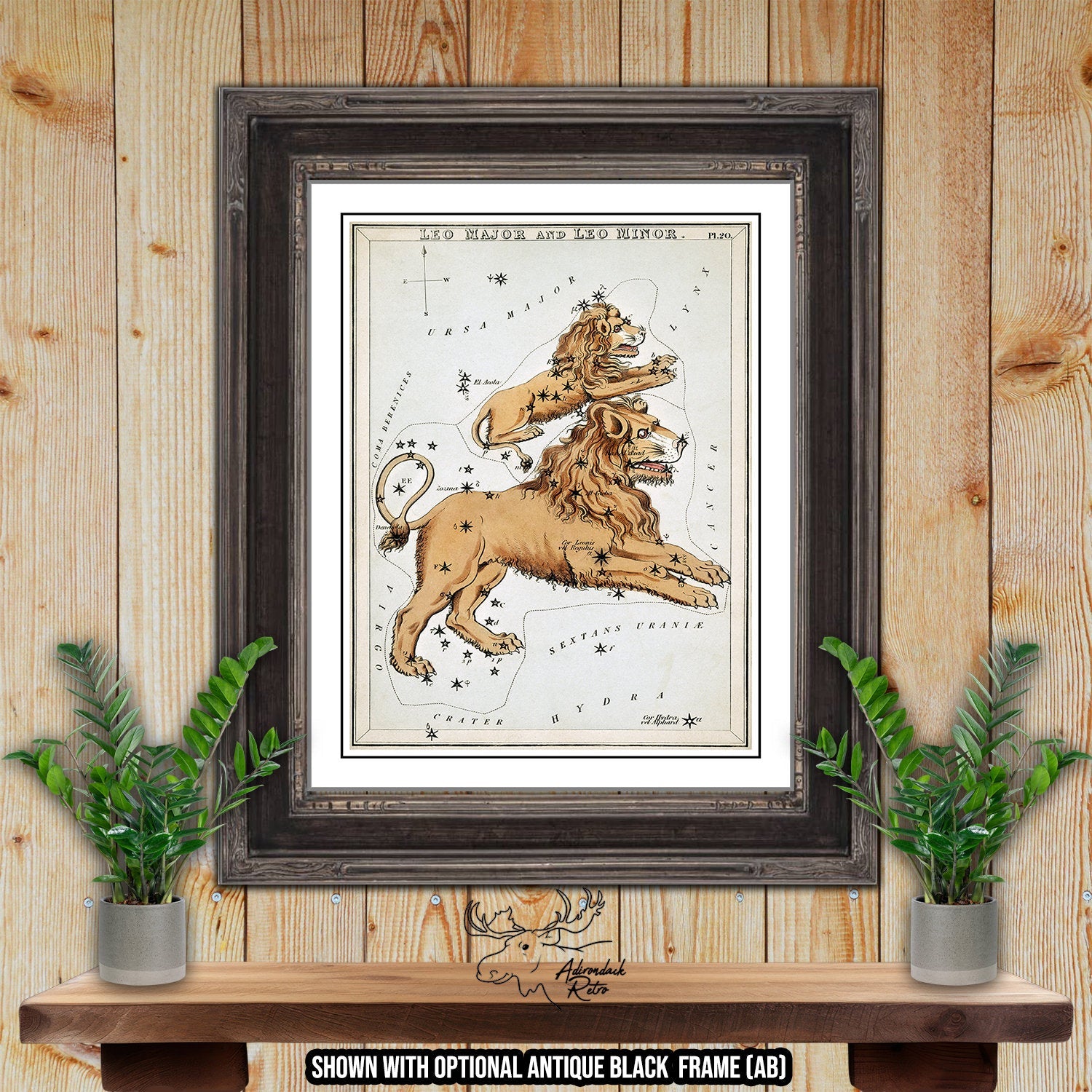 Leo Major And Minor Constellation Star Map by Sidney Hall Fine Art Astrology Print at Adirondack Retro