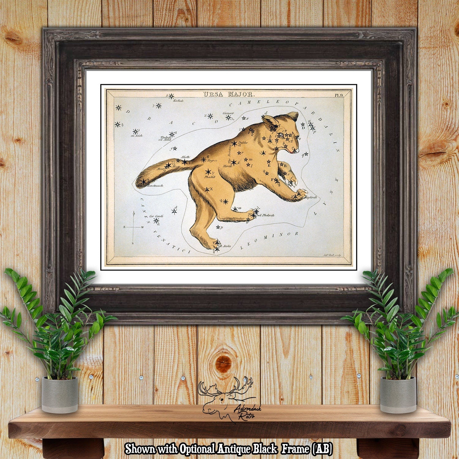 Ursa Major Constellation Star Map - Sidney Hall Fine Art Astrology Print at Adirondack Retro