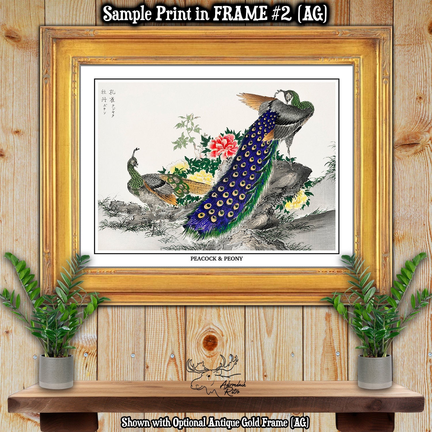 Peacock And Peony by Numata Kashu Giclee Fine Art Bird Print